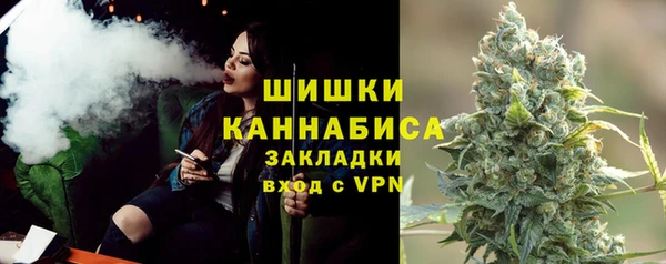 СК Билибино