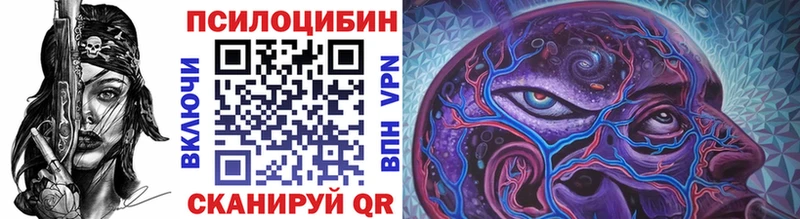 Галлюциногенные грибы Psilocybe  Шелехов 